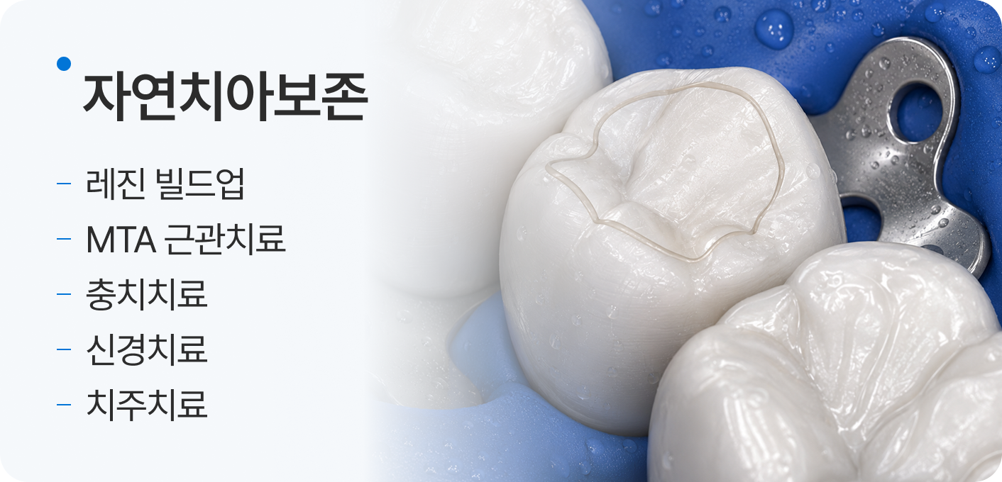 자연치아보존, 레진 빌드업, MTA 근관치료, 충치치료, 신경치료, 치주치료 